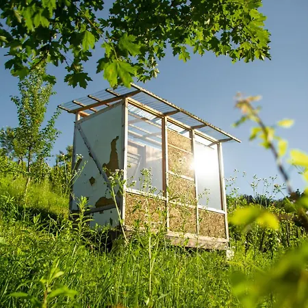 Deda Vinko Off Grid